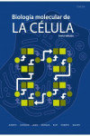 BIOLOGÍA MOLECULAR DE LA CÉLULA | 9788428216388 | Portada