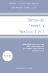 Temas de Derecho Procesal Civil. Adaptado al nuevo programa de las pruebas selectivas para ingreso en las Carreras Judicial y Fiscal | 9788411704700 | Portada