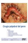 Cirugía palpebral en el perro |  | Portada