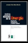 Cuestiones Actuales del Derecho de la Energía | 9788498900910 | Portada