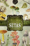 Atlas ilustrado de las setas | 9788467722871 | Portada
