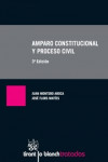 Amparo Constitucional y Proceso Civil | 9788490861073 | Portada