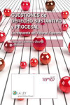 Cuestiones de derecho sustantivo y procesal | 9788490204498 | Portada