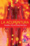 La Acupuntura | 9788499104997 | Portada