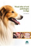 Visual atlas of oral pathologies in dogs | 9788416315772 | Portada