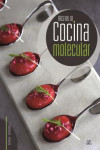 RECETAS DE COCINA MOLECULAR 2016 | 9788466234139 | Portada