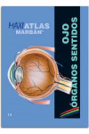 Maxi Atlas, Vol.12: Ojo. Órganos de los Sentidos | 9788417184162 | Portada