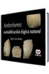 Anteriores. Estratificación lógica natural | 9789585426313 | Portada