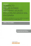 EL IMPACTO DE LAS ÚLTIMAS REFORMAS LEGALES EN LA DELINCUENCIA VIAL EN ESPAÑA | 9788491775577 | Portada