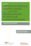 NECESIDADES ESPECIALES DE APOYO LABORAL EN COLECTIVOS CON DISCAPACIDAD EN PARTICULAR, EL EMPLEO PROGEGIDO | 9788491776444 | Portada
