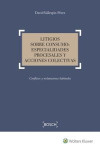 Litigios sobre Consumo: Especialidades Procesales y Acciones Colectivas | 9788490902776 | Portada