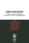 Liber amicorum. Estudios Jurídicos en Homenaje al Prof. Dr.h.c. Juan Mª. Terradillos Basoco | 9788491699194 | Portada