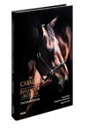 El caballo. Esplendor y nobleza | 9788417254445 | Portada