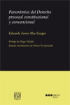 PANORÁMICA DEL DERECHO PROCESAL CONSTITUCIONAL Y CONVENCIONAL 2017 (RUSTICA) | 9788491232056 | Portada