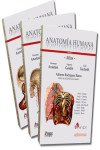 ATLAS ANATOMÍA HUMANA. 3 Tomos | 9788870516555 | Portada