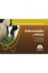 Guías prácticas en producción bovina. Enfermedades uterinas | 9788417225124 | Portada