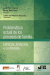 Problemática actual de los procesos de familia. Especial atención a la prueba | 9788494912337 | Portada