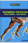 Miembro Inferior. Anatomía al Natural | 9788417184872 | Portada