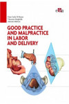 Good practice and malpractice in labor and delivery | 9788821447891 | Portada