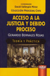 Acceso a la justicia y debido proceso | 9789897125973 | Portada