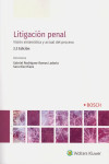 Litigación penal 2019. Visión sistemática y actual del proceso | 9788490904152 | Portada