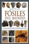 GUIA DE LOS FOSILES DEL MUNDO | 9788428217170 | Portada