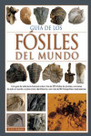 GUIA DE LOS FOSILES DEL MUNDO | 9788428217170 | Portada