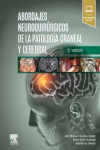 Abordajes neuroquirúrgicos de la patología craneal y cerebral | 9788491135029 | Portada