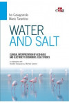 Clinical interpretation of acid-base and electrolyte disorders. Case studies | 9788821451157 | Portada