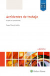 Accidentes de trabajo. Aspectos procesales | 9788490905227 | Portada