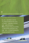 Los derechos fundamentales como derechos de defensa. Reconstrucción jurisprudencial de su contenido prescriptivo | 9788419045645 | Portada