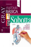 LOTE  GRAY BASICO - SOBOTTA CUADERNO DE COLOREAR | 9788413826394 | Portada