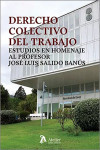 Derecho colectivo del trabajo. Estudios en homenaje al Profesor José Luis Salido Banús | 9788419773739 | Portada