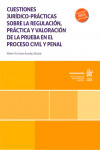 Cuestiones jurídico-prácticas sobre la regulación, práctica y valoración de la prueba en el proceso civil y penal | 9788411974240 | Portada
