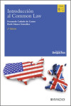 Introducción al Common Law 2025 | 9788410853348 | Portada