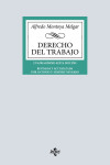 Derecho del Trabajo | 9788430992621 | Portada