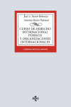 Curso de Derecho Internacional Público y de Organizaciones Internacionales | 9788430992591 | Portada