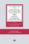 Manual de Derecho Constitucional. Vol. I: Constitución y fuentes del Derecho. Derecho Constitucional Europeo. Tribunal Constitucional. Estado autonómico | 9788430992713 | Portada