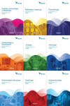 Colección Manuales PROMIR 2025-2026. 22 Manuales con las principales especialidades de la Medicina clínica | 9788411065184 | Portada